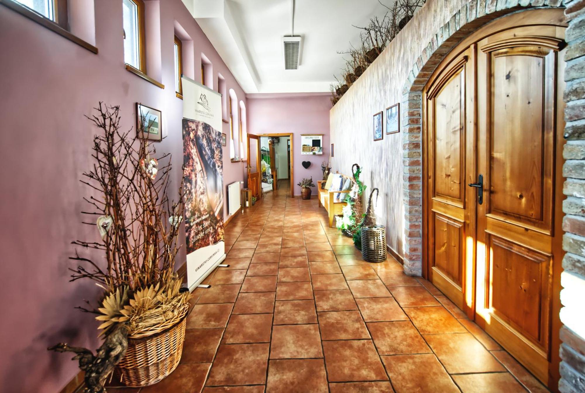 Penzion Vinarstvi Cervinka Horní Vestonice Exterior foto