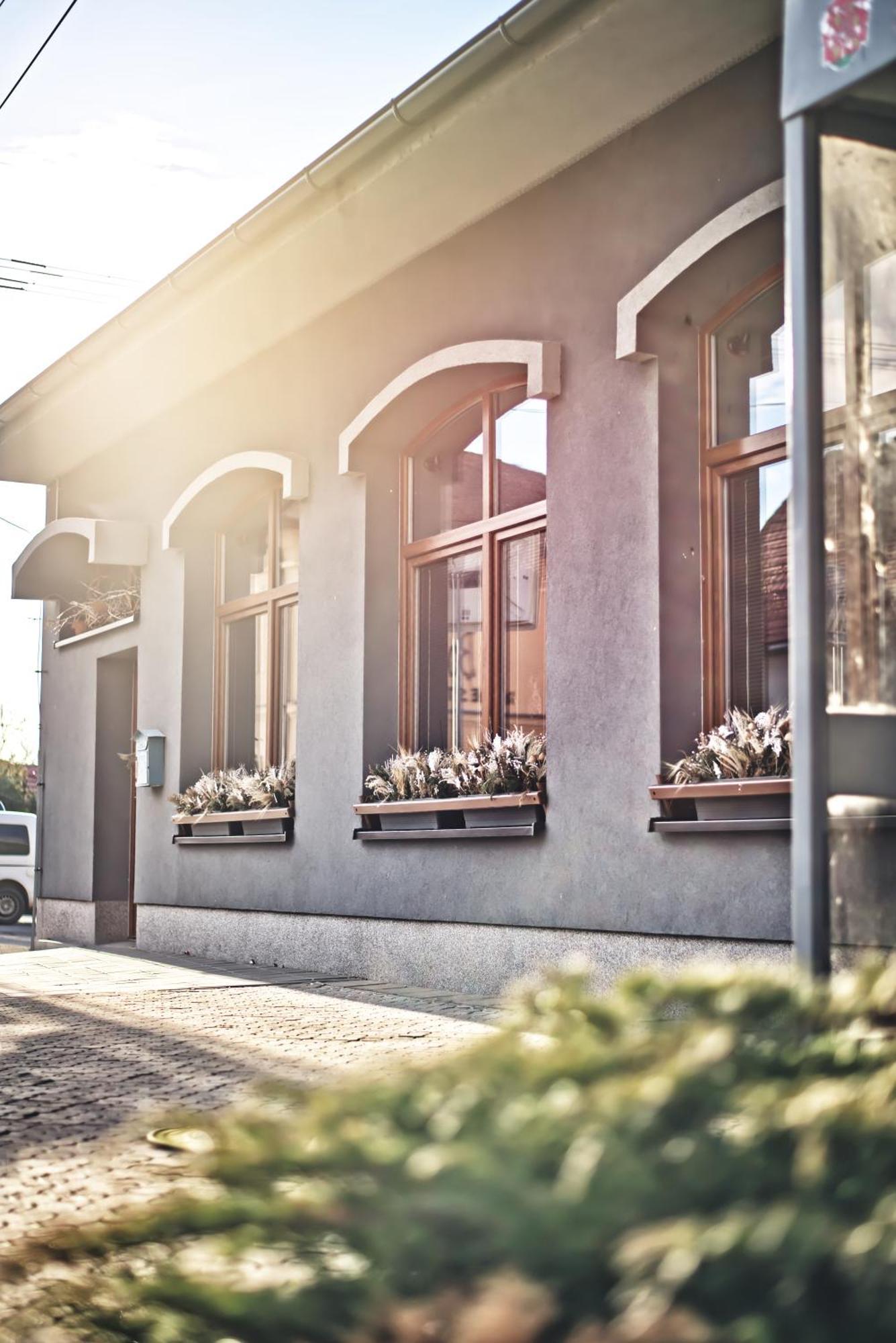 Penzion Vinarstvi Cervinka Horní Vestonice Exterior foto